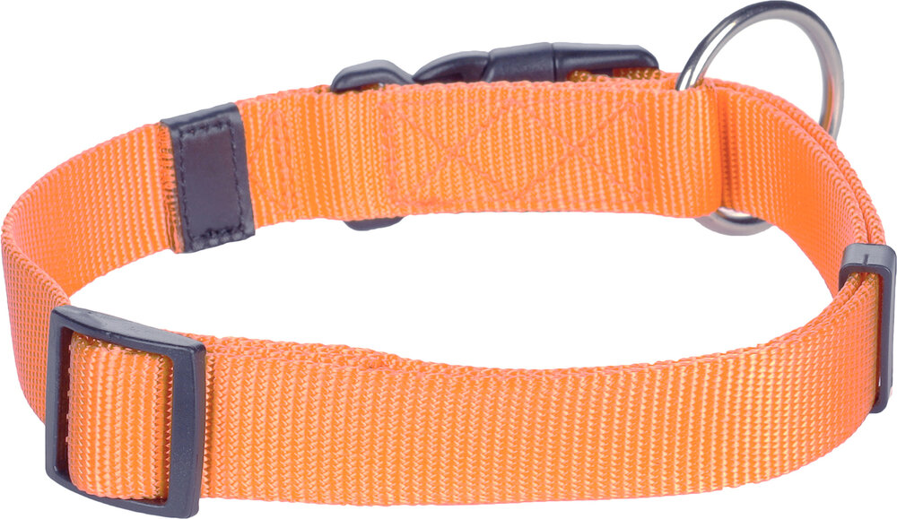 Halsband Ziggi Oranje