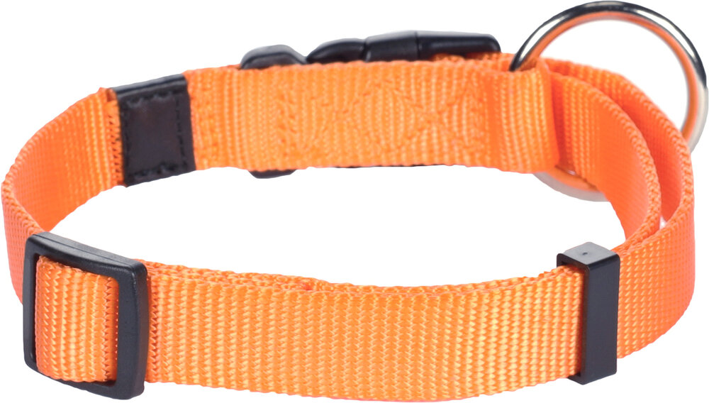 Halsband Ziggi Oranje
