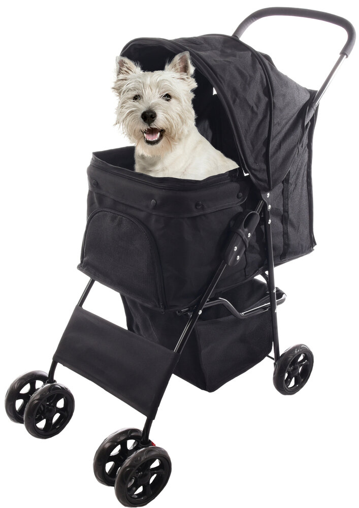 Buggy Anda Zwart