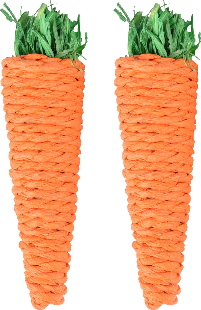 Speelgoed Legou Wortel Oranje