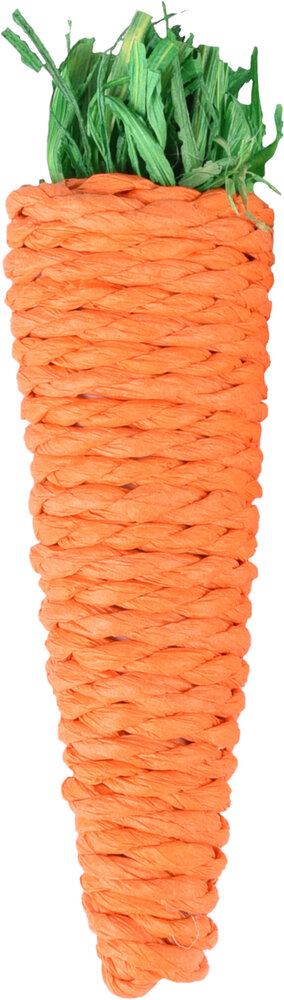 Speelgoed Legou Wortel Oranje