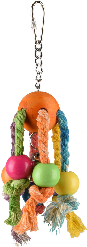 Vogelspeelgoed Rainbow Spy Meerkleurig