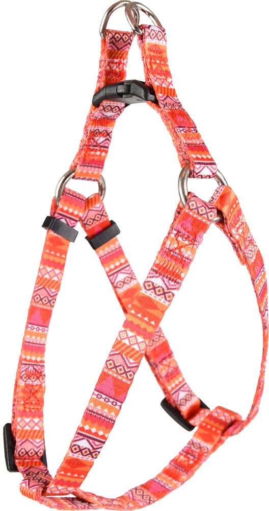 Harnas Step&amp;Go Syb Zalmroze