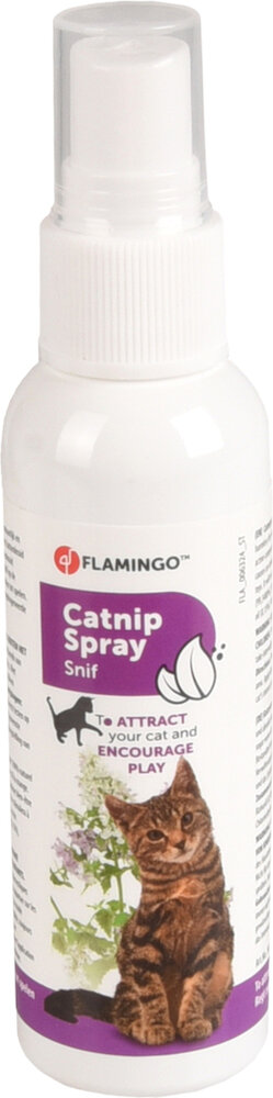 Lokstof Snif Catnip Transparant