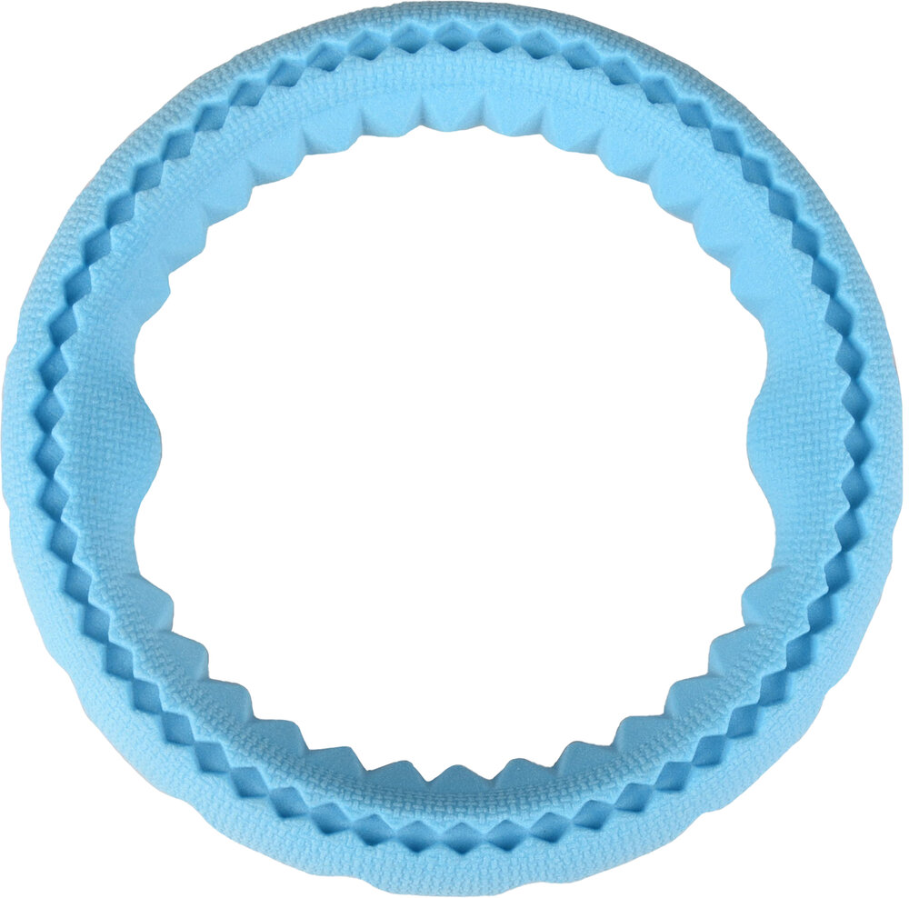 Speelgoed Spector Ring Blauw