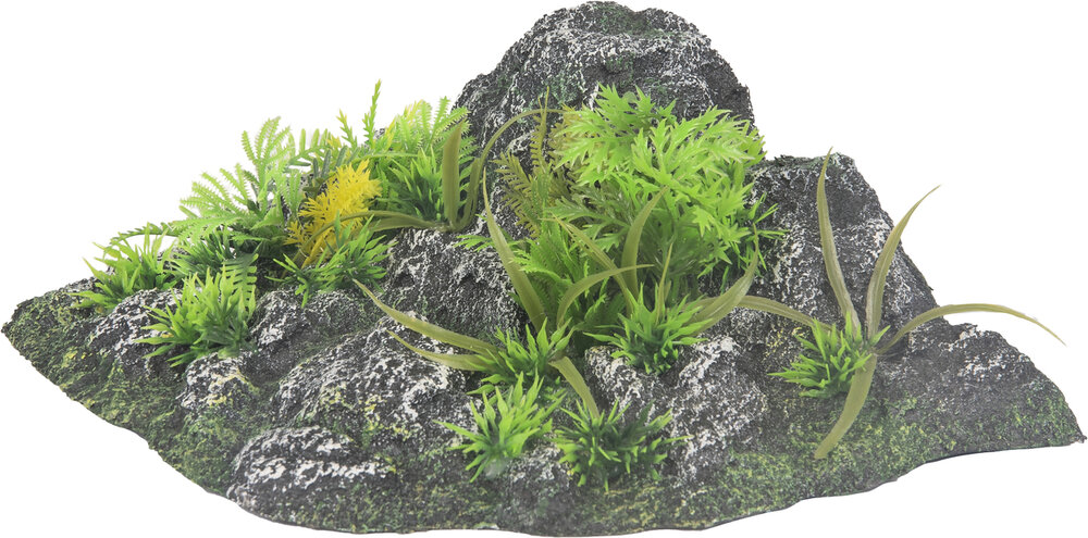 Decoratie Condroz Grijs Rots Plant