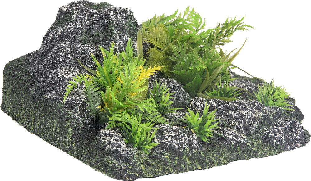 Decoratie Condroz Grijs Rots Plant