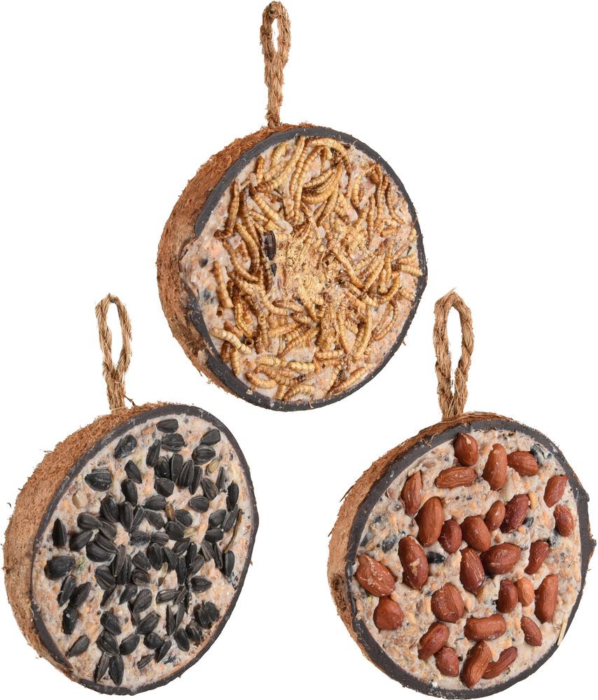 Four Seasons Halve voederkokosnoot Gevuld met meelwormen &amp; met noten &amp; met zaden - Buitenvogels