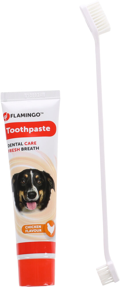 Tandpasta &amp; Tandenborstel Dafra Tube