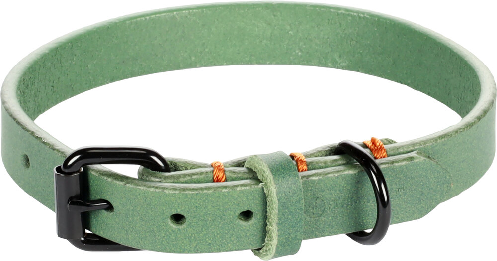 Halsband Leano Groen