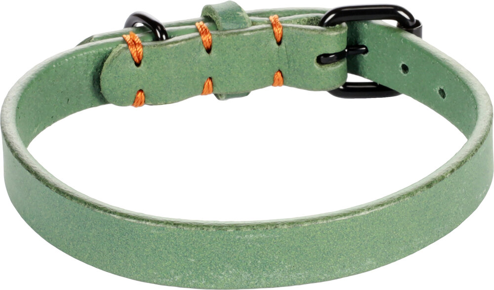 Halsband Leano Groen