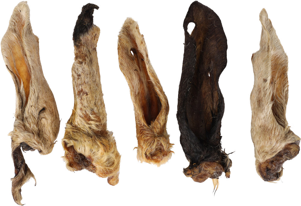 Snack Nature Geitenoor met haar