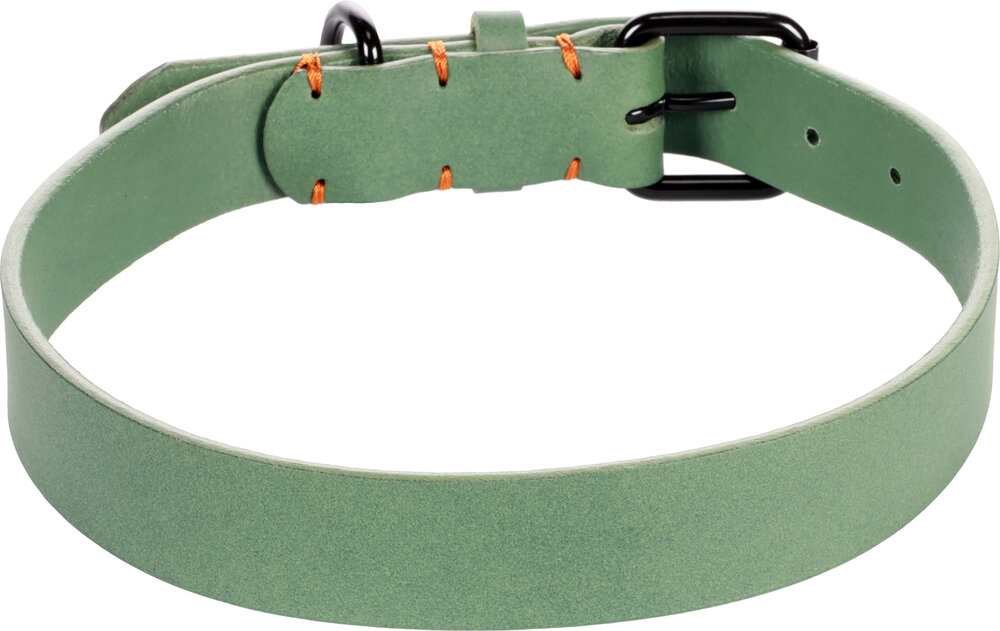 Halsband Leano Groen