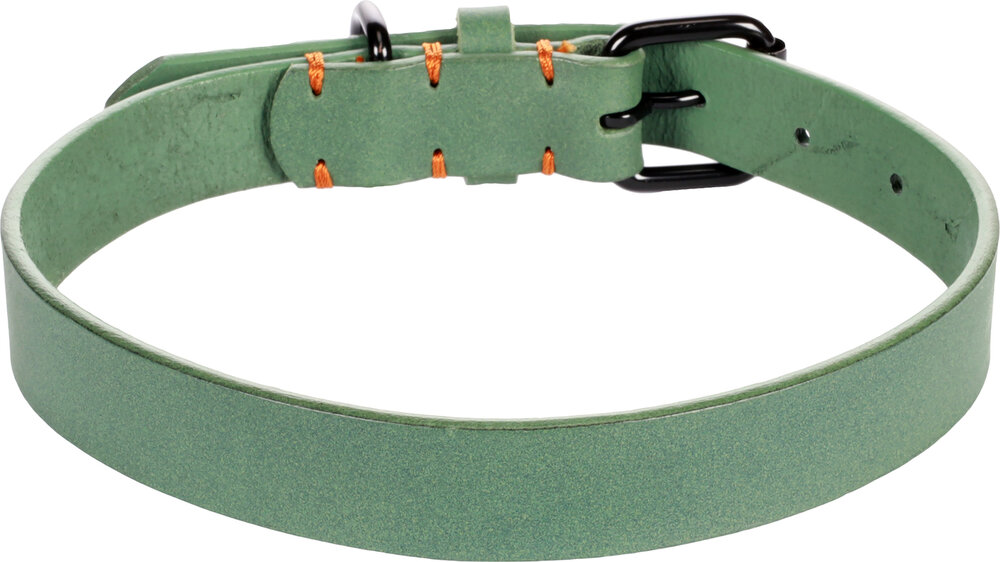 Halsband Leano Groen