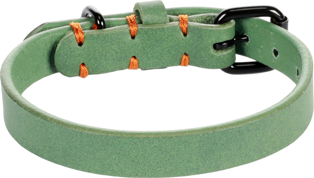 Halsband Leano Groen