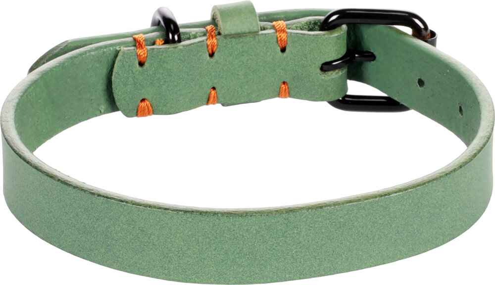 Halsband Leano Groen