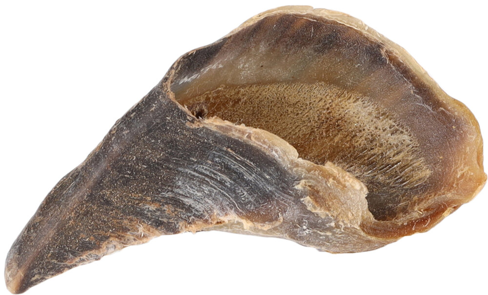 Snack Nature Koeienhoef