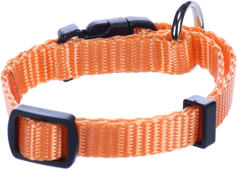 Halsband Ziggi Oranje
