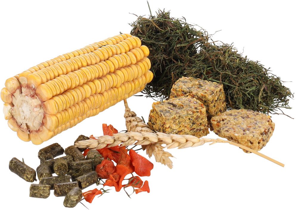 Snack Wilgenmand