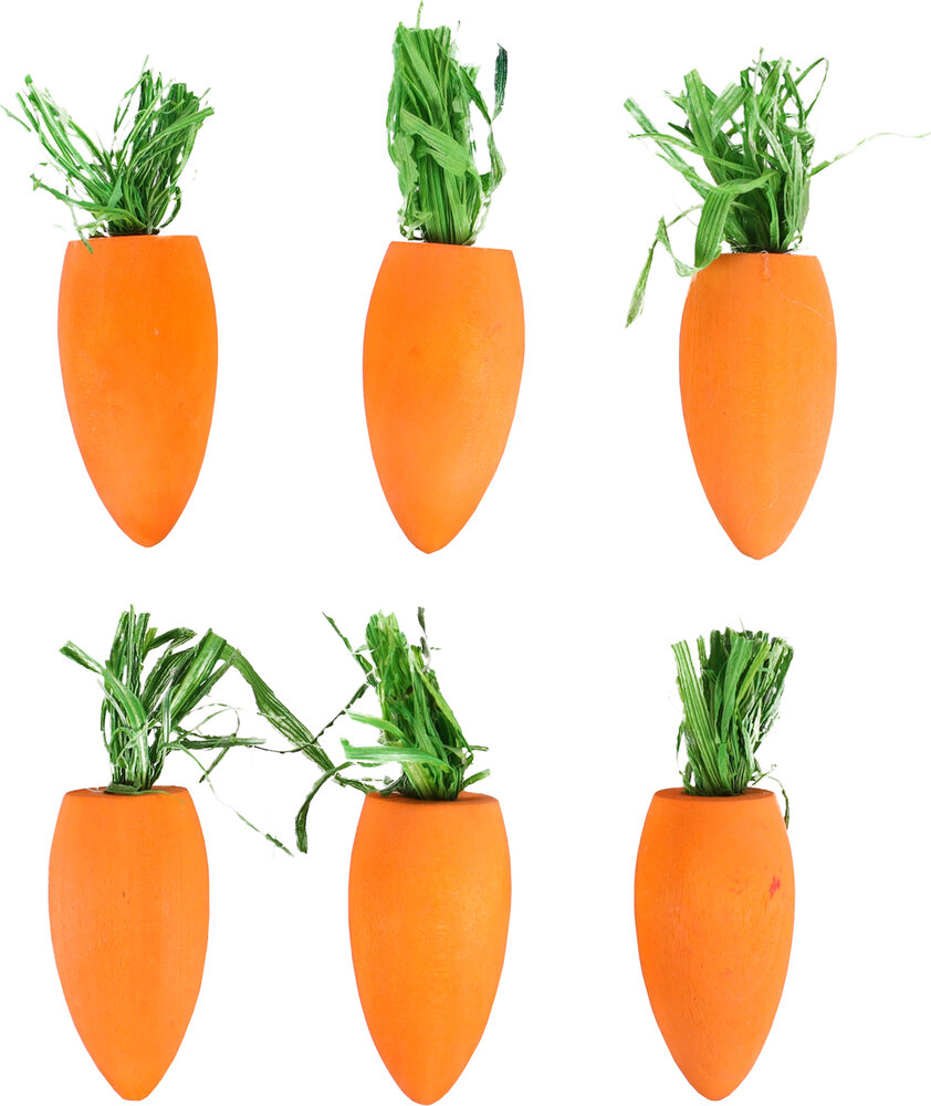 Knabbelhout Cora Oranje
