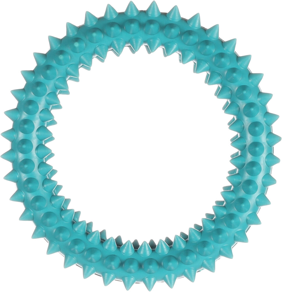 Speelgoed Scrum Ring Meerdere kleuren