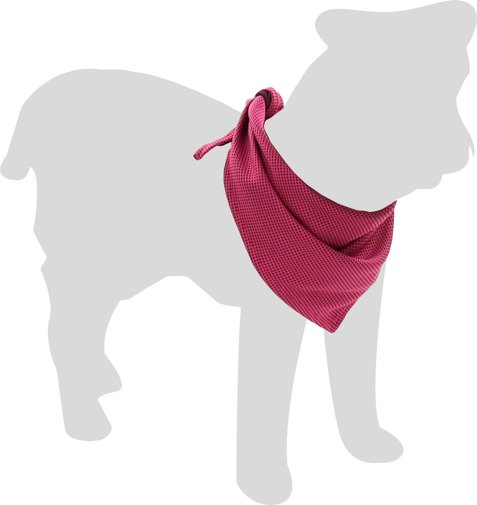 Koelbandana Fresk Inou Roze