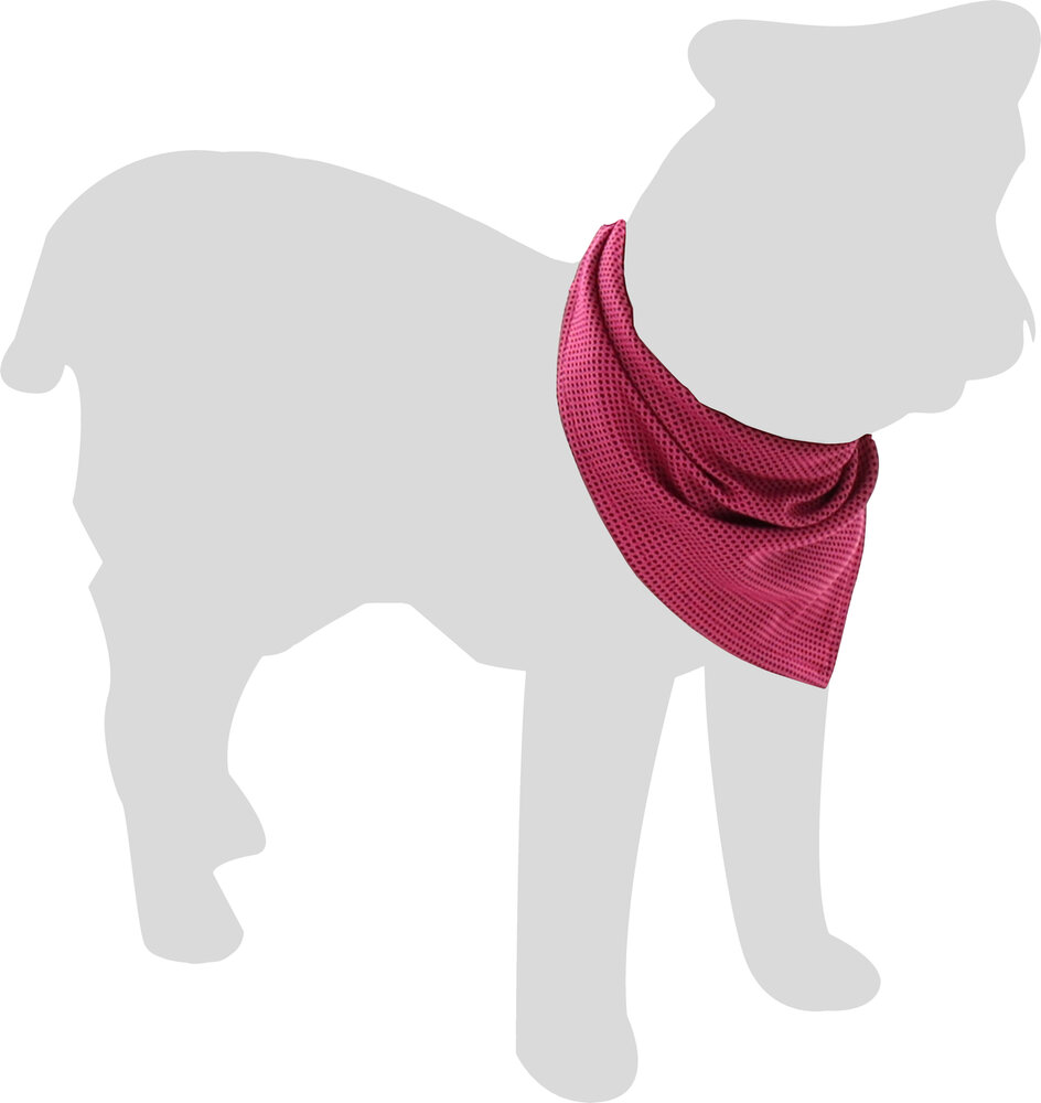 Koelbandana Fresk Inou Roze