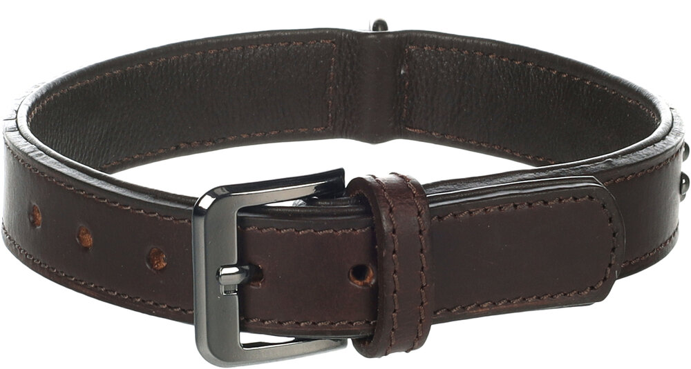 Halsband met sierbeslag Denver Bruin