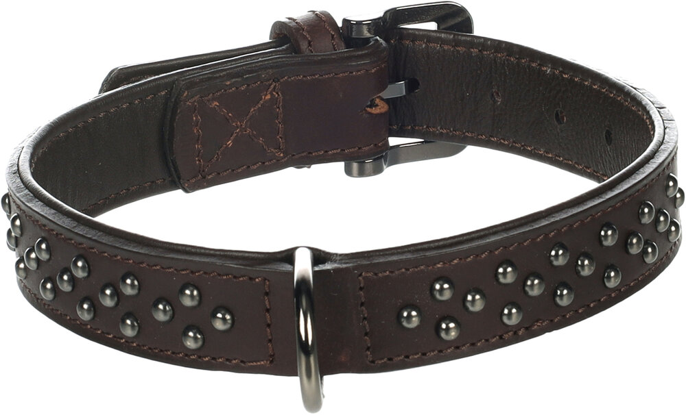 Halsband met sierbeslag Denver Bruin