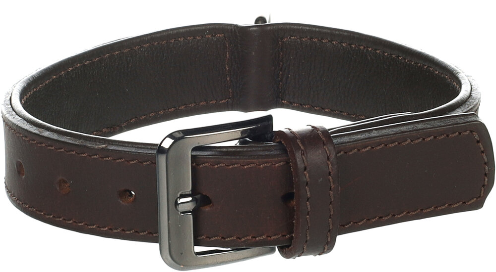 Halsband met sierbeslag Denver Bruin