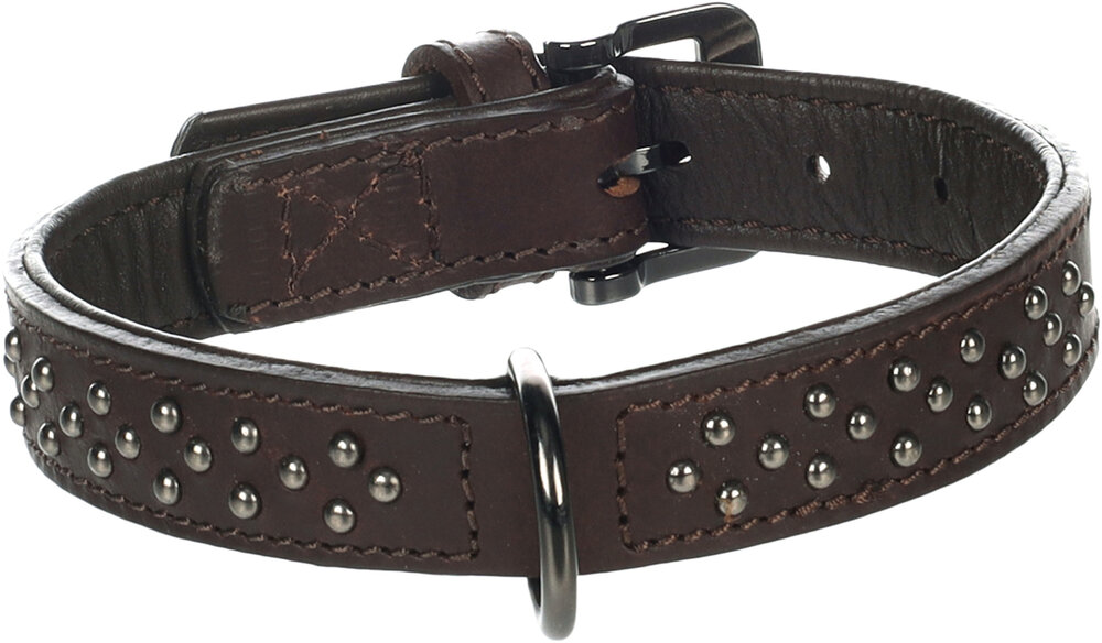 Halsband met sierbeslag Denver Bruin
