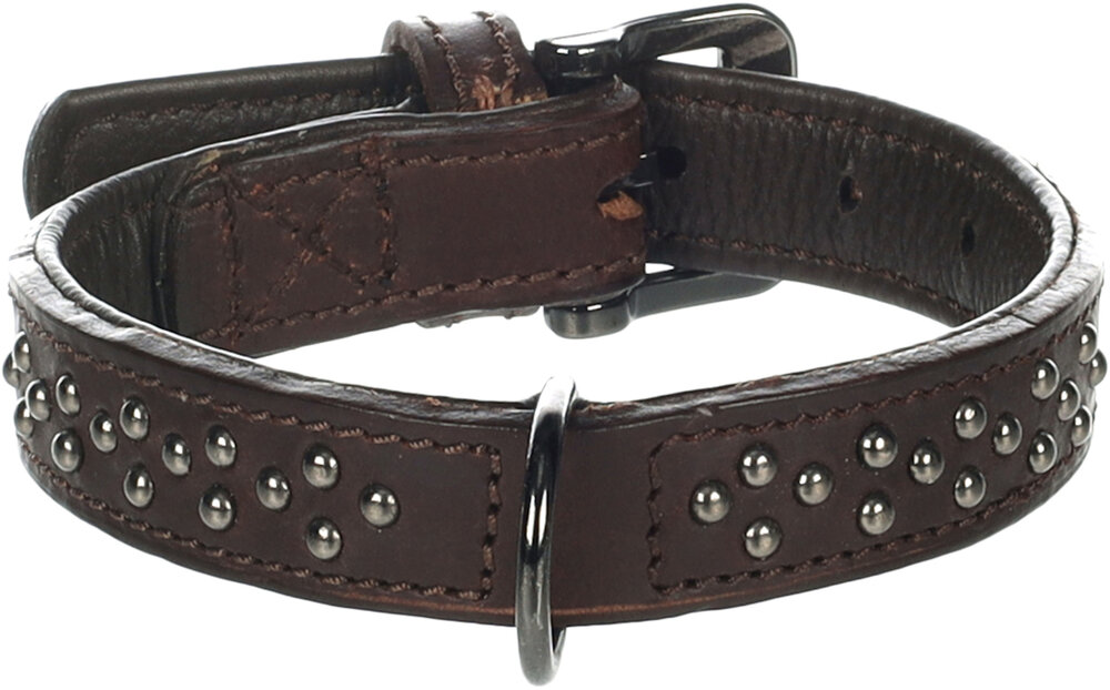 Halsband met sierbeslag Denver Bruin