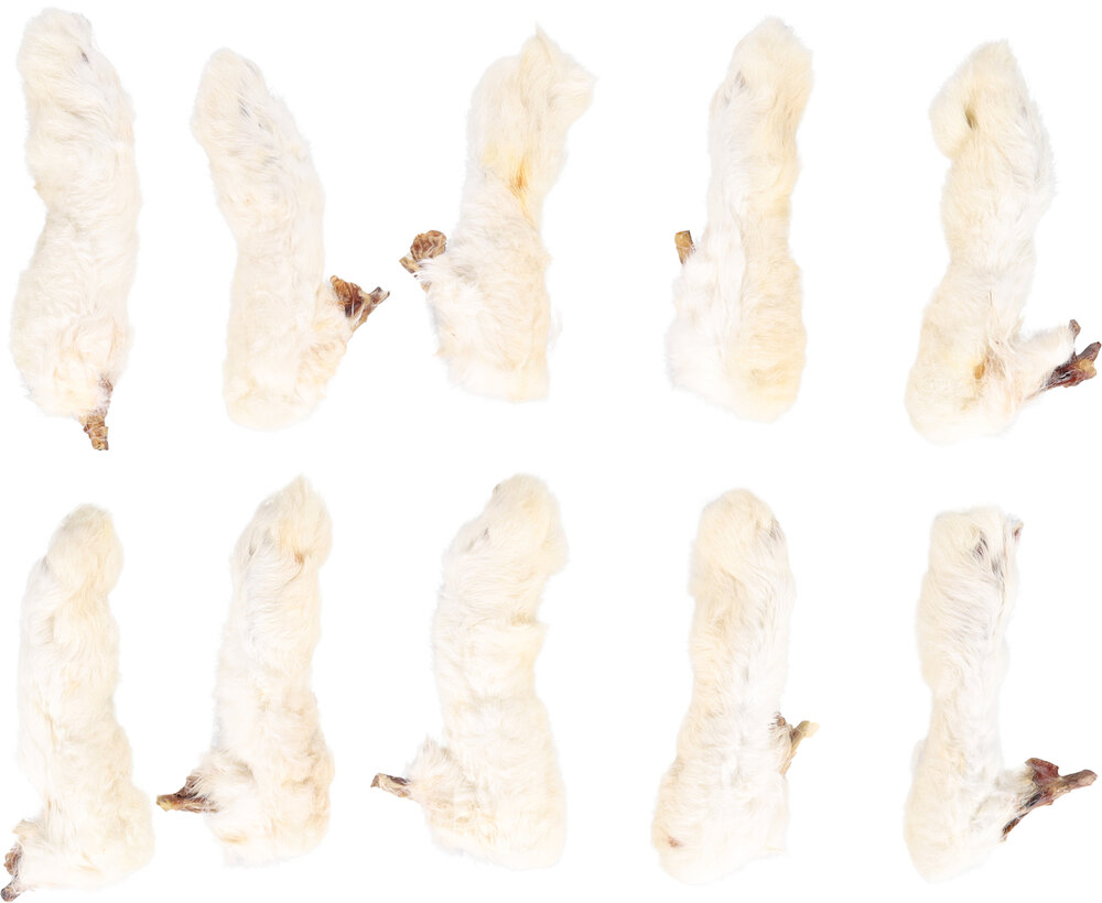 Snack Nature Konijnenpoten met haar