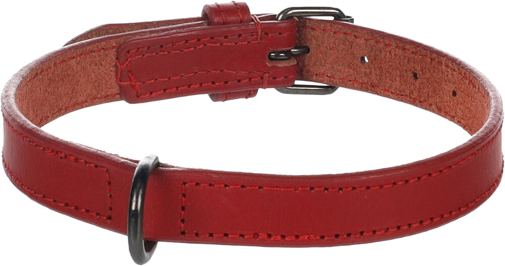 Halsband Denver Rood
