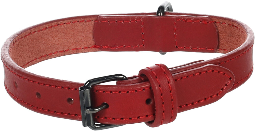 Halsband Denver Rood
