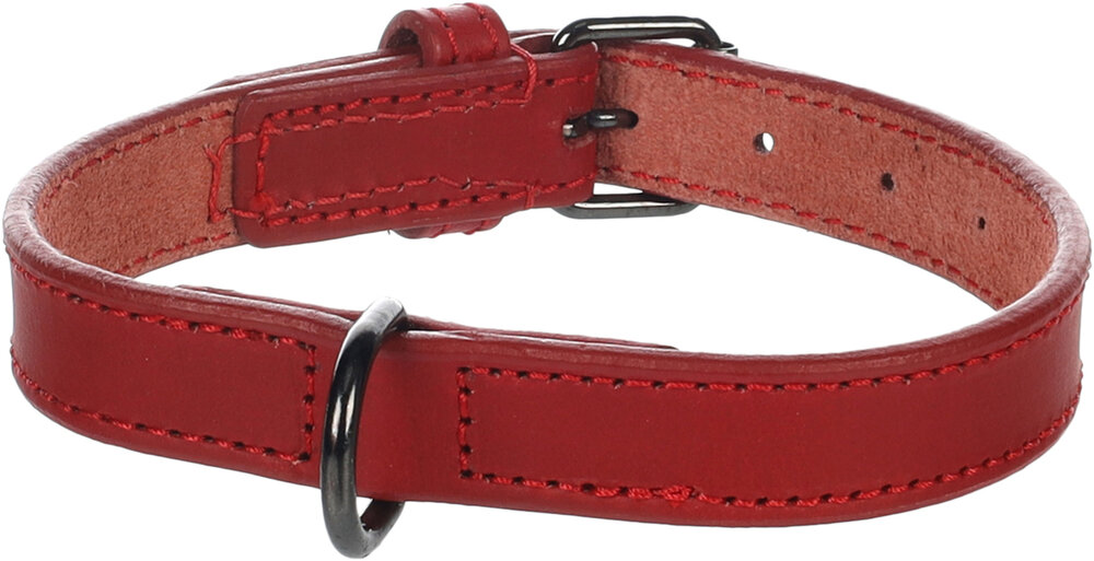 Halsband Denver Rood