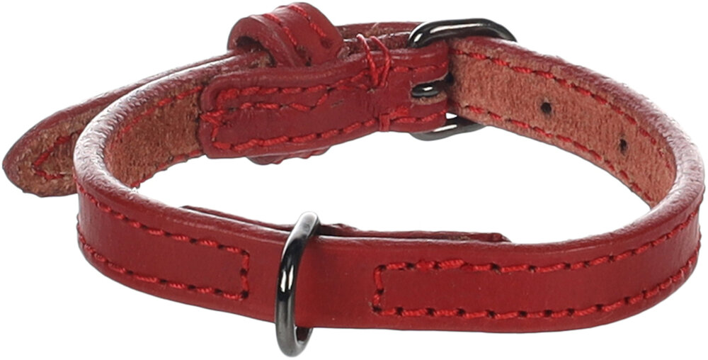 Halsband Denver Rood