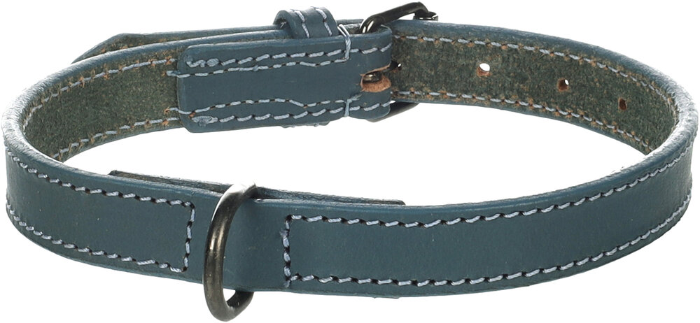Halsband Denver Blauw