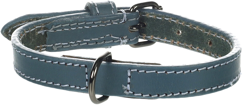 Halsband Denver Blauw
