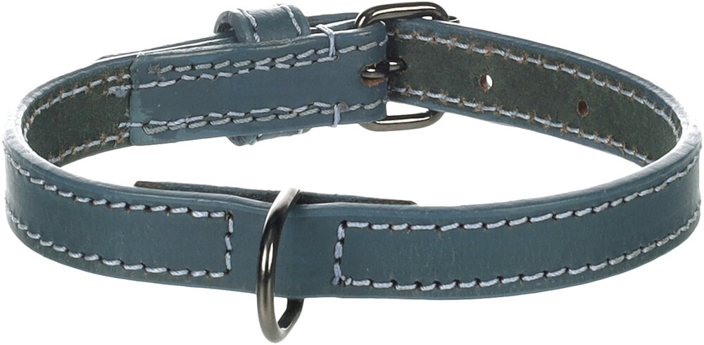 Halsband Denver Blauw