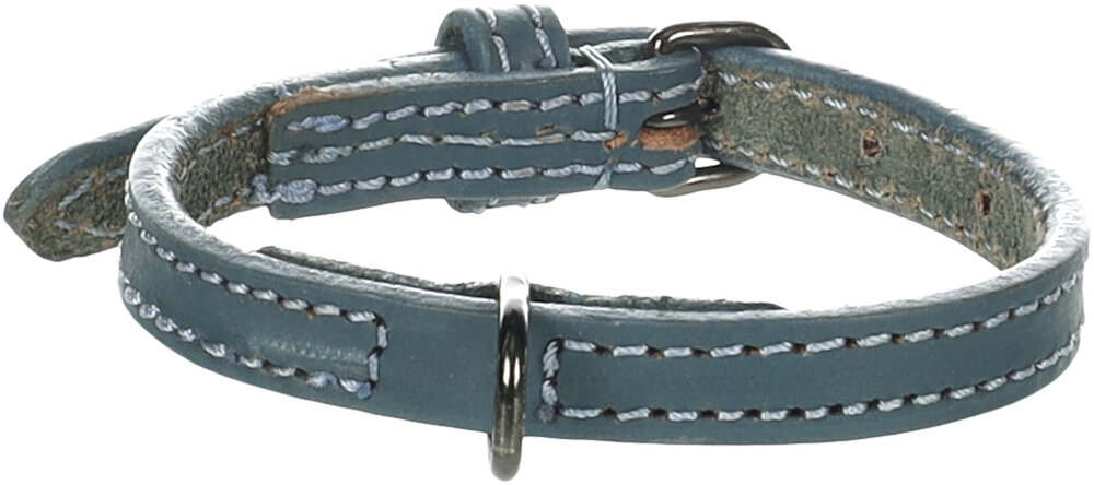 Halsband Denver Blauw