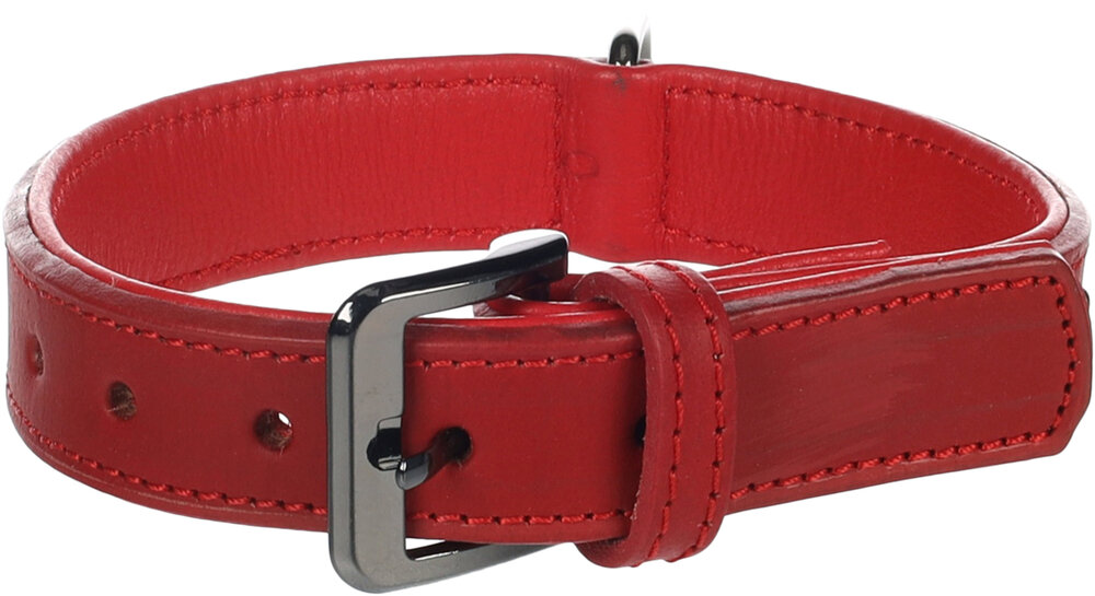 Halsband met sierbeslag Denver Rood