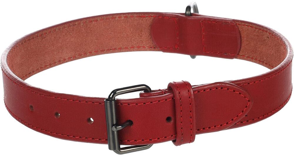 Halsband Denver Rood