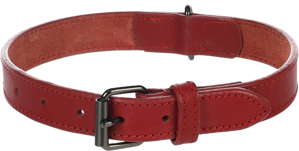 Halsband Denver Rood