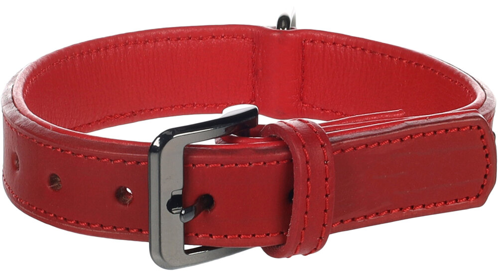 Halsband met sierbeslag Denver Rood