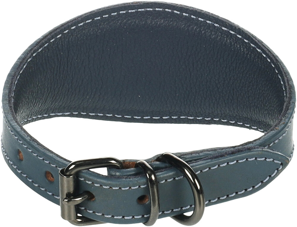Halsband Windhond Denver Blauw
