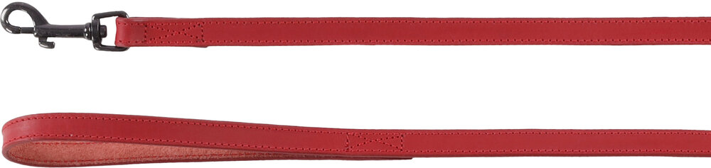 Looplijn Denver Rood