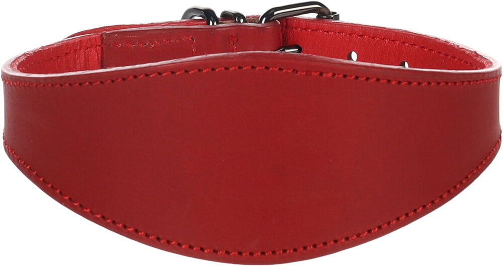 Halsband Windhond Denver Rood