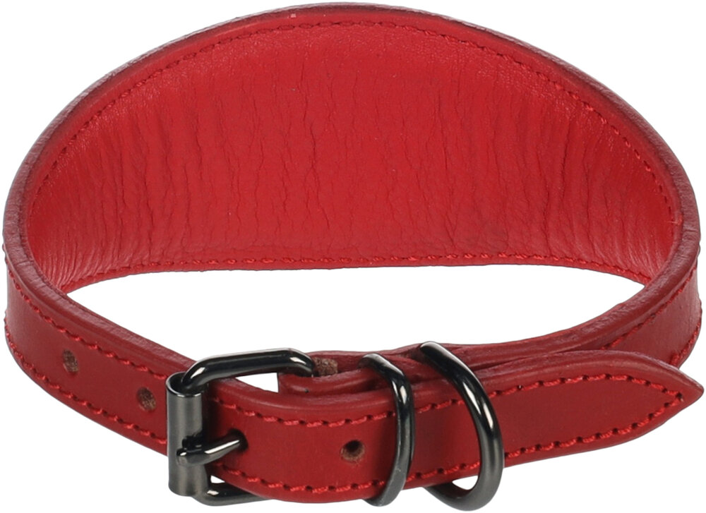 Halsband Windhond Denver Rood