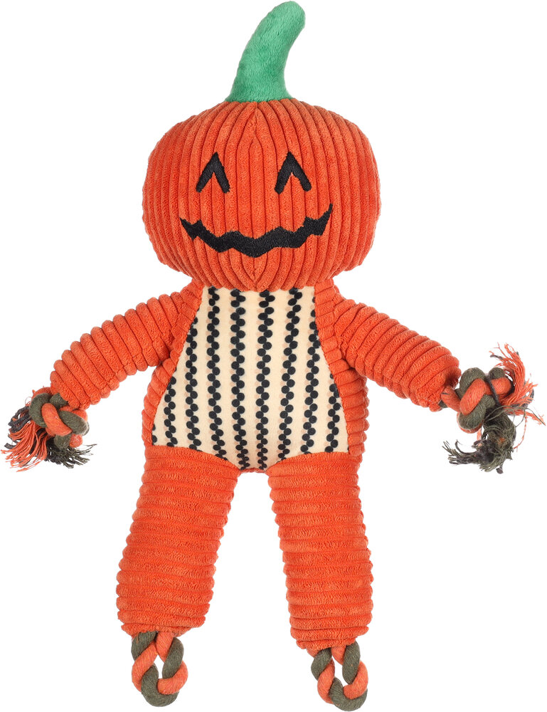 Halloween Speelgoed Bunut Pompoen Oranje